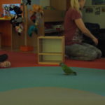 DSC03190