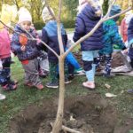 IMG_20211026_110220