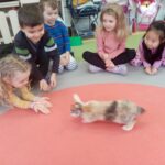 IMG_20211115_101815