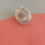 IMG_20211115_103758