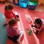 IMG_20220315_093457