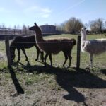 IMG_20220412_100208