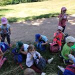 IMG_20220615_102247