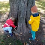 IMG_20221010_105259