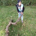 IMG_20221010_110205
