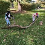 IMG_20221010_110311