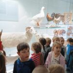IMG_20221013_112635