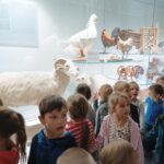 IMG_20221013_112637