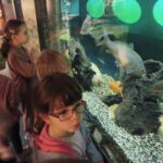IMG_20221013_113219