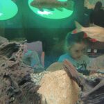 IMG_20221013_113352