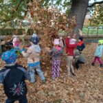 IMG_20221021_114018