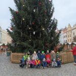 IMG_20221130_101005