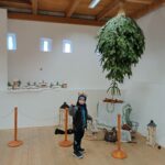 IMG_20221130_102231
