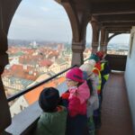 IMG_20221130_105147