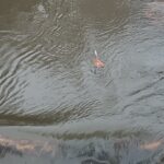 IMG_20230125_100200