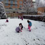 IMG_20230123_112217