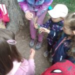 IMG-20230608-WA0029