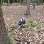IMG_20230607_104617
