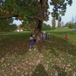 IMG_20231024_110439