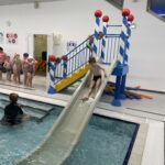 IMG_8448