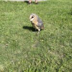 IMG_8926