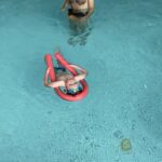 IMG_9094