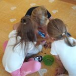 IMG-20240927-WA0056