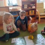 IMG_20241120_094126