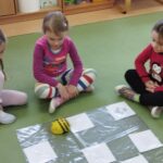 IMG_20241122_093304