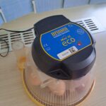 IMG-20250401-WA0009