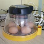 IMG_20250324_100650