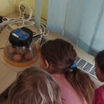 IMG_20250324_100727
