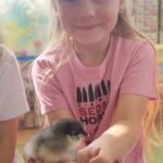 IMG_20250326_095011