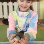IMG_20250326_095137