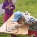 IMG-20250605-WA0012