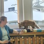 IMG_20260326_091754