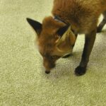 IMG_20260326_092140
