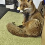 IMG_20260326_092238