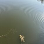 IMG_8169