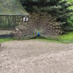 IMG_20260513_103620