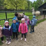 IMG_20260513_103631
