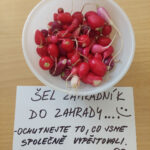fotografie (63)